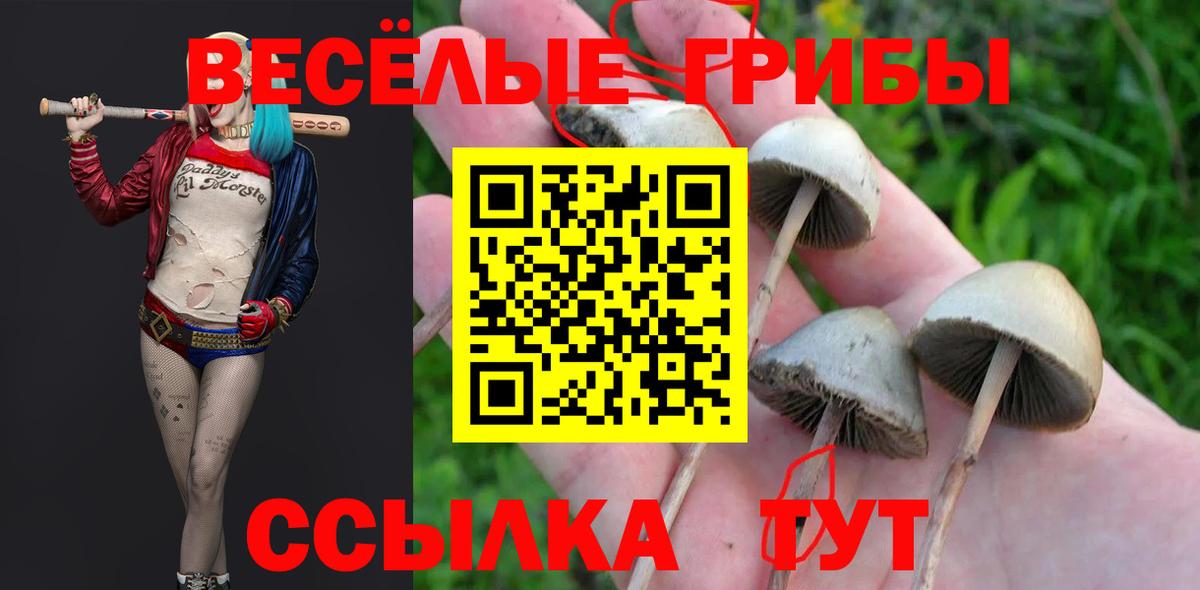 Галлюциногенные грибы Psilocybine cubensis  Вход с VPN  Псилоцибиновые грибы Psilocybe  Красноармейск 